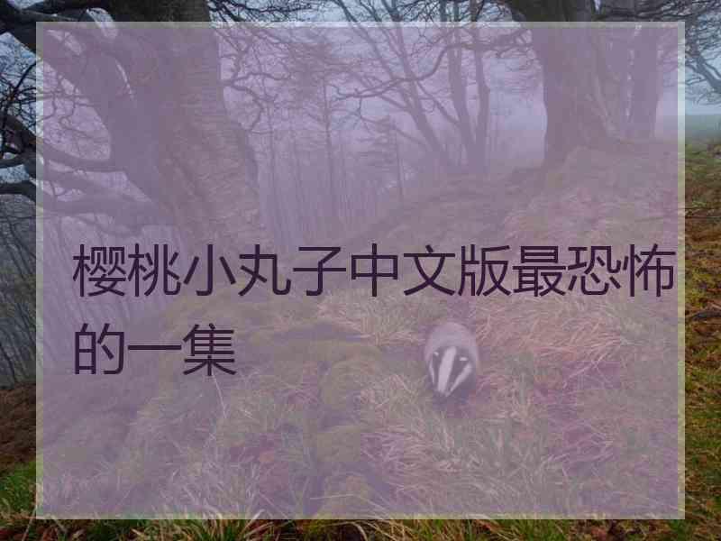 樱桃小丸子中文版最恐怖的一集