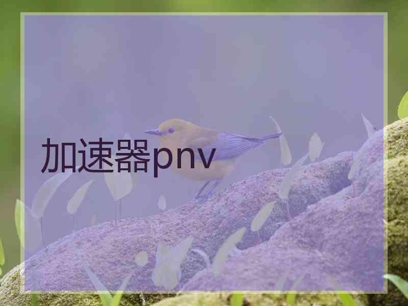 加速器pnv