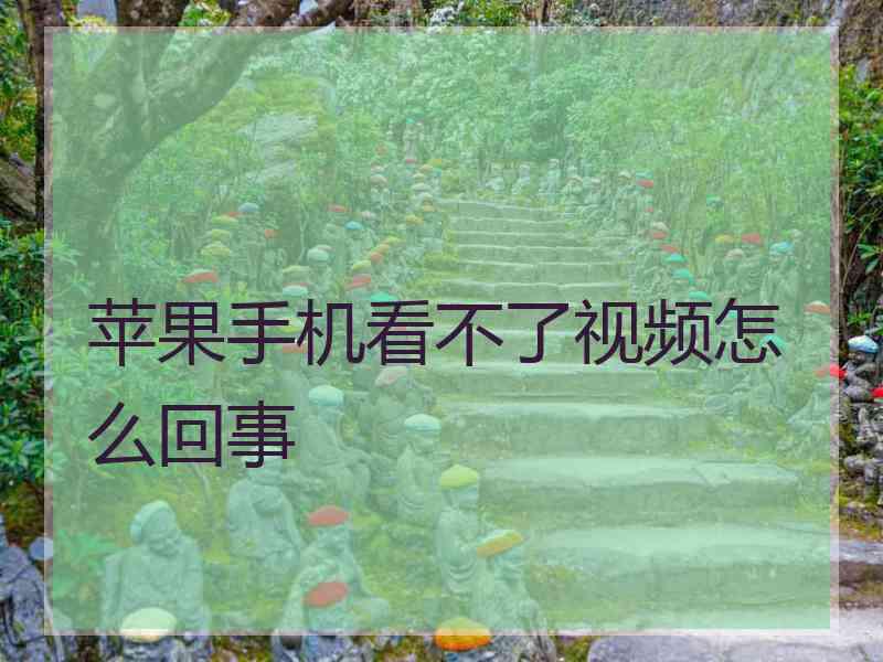 苹果手机看不了视频怎么回事