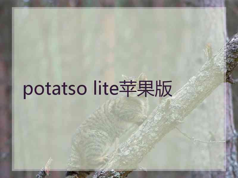 potatso lite苹果版