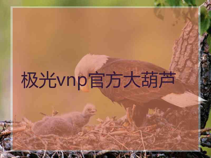 极光vnp官方大葫芦