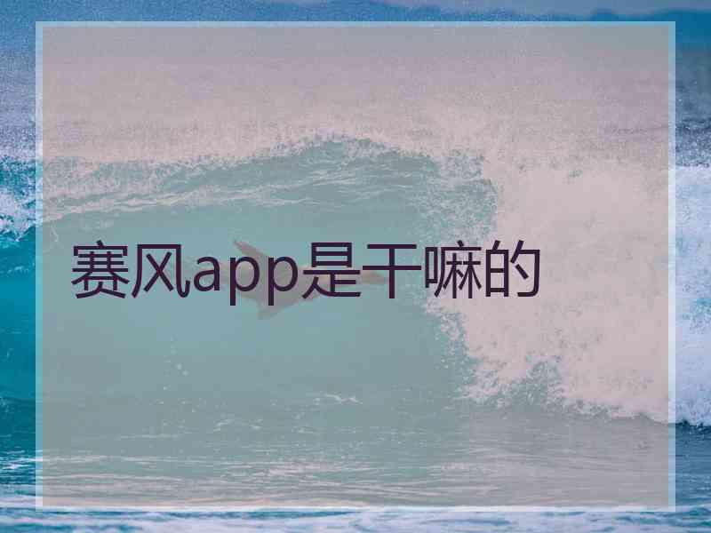 赛风app是干嘛的