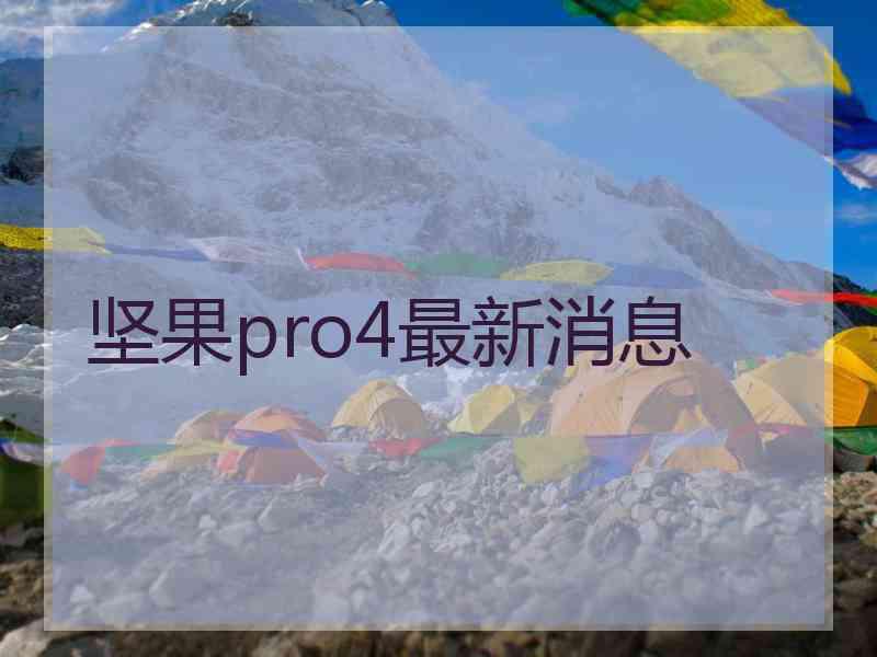 坚果pro4最新消息