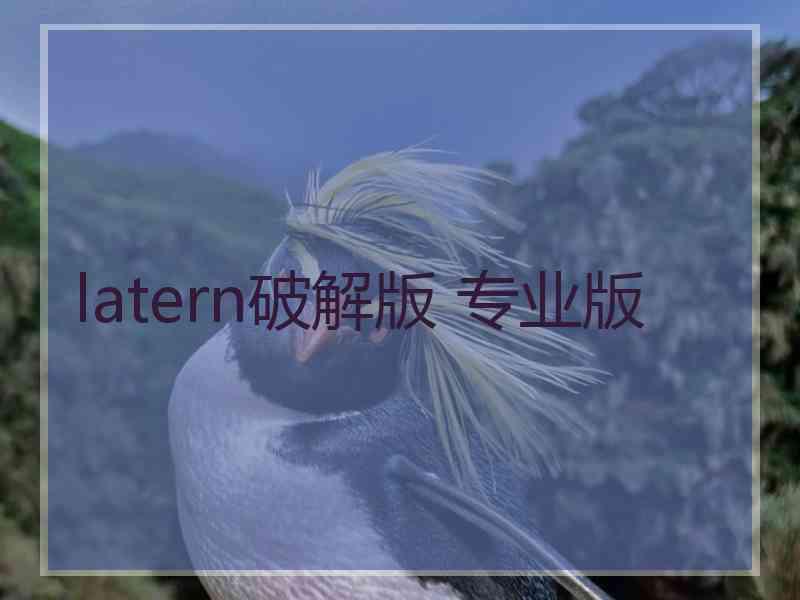 latern破解版 专业版