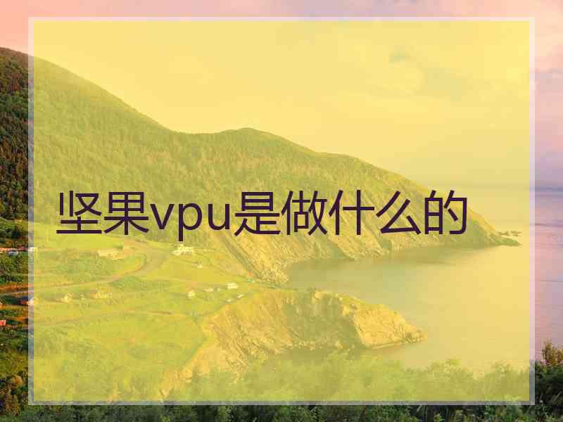 坚果vpu是做什么的