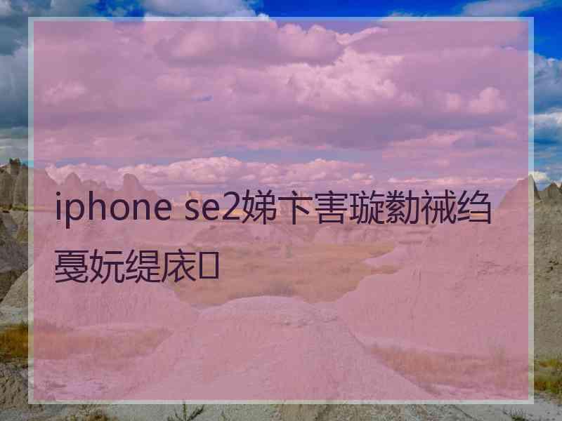 iphone se2娣卞害璇勬祴绉戞妧缇庡