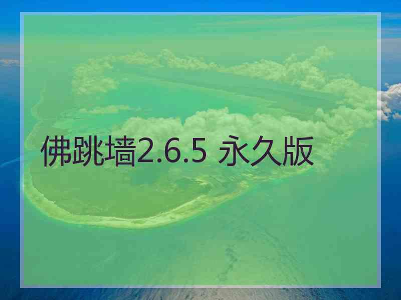 佛跳墙2.6.5 永久版