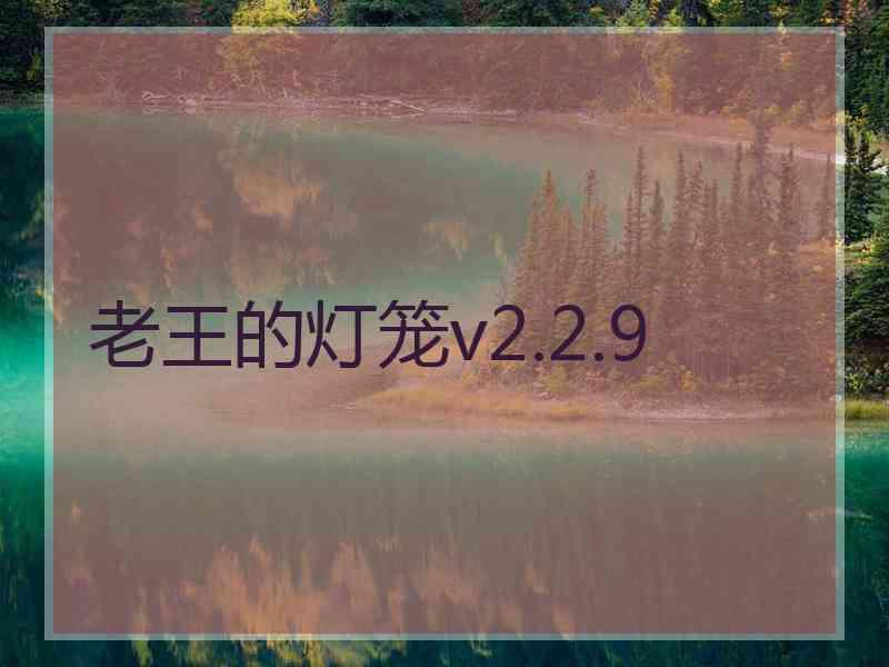 老王的灯笼v2.2.9