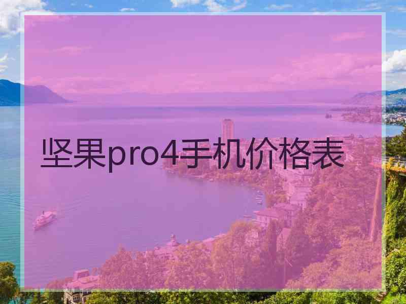 坚果pro4手机价格表