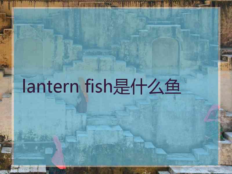 lantern fish是什么鱼