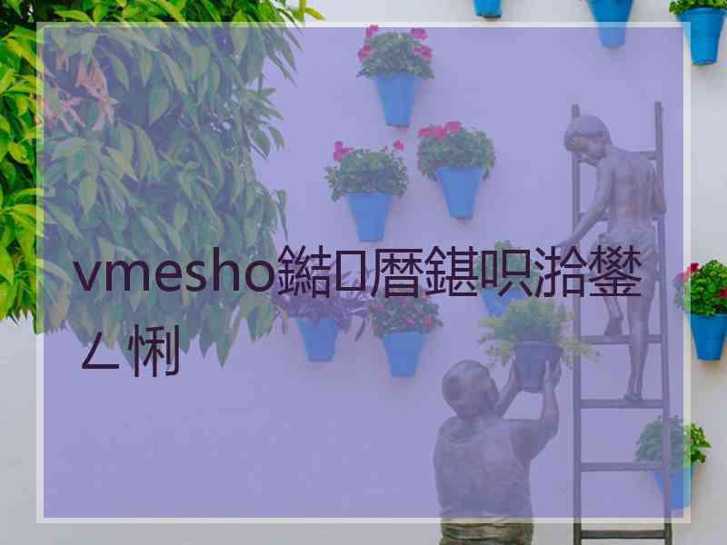 vmesho鐑暦鍖呮湁鐢ㄥ悧