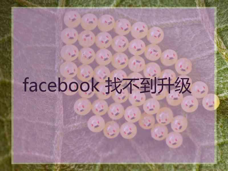 facebook 找不到升级