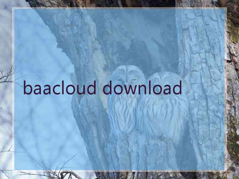 baacloud download