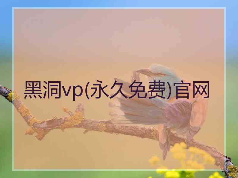 黑洞vp(永久免费)官网