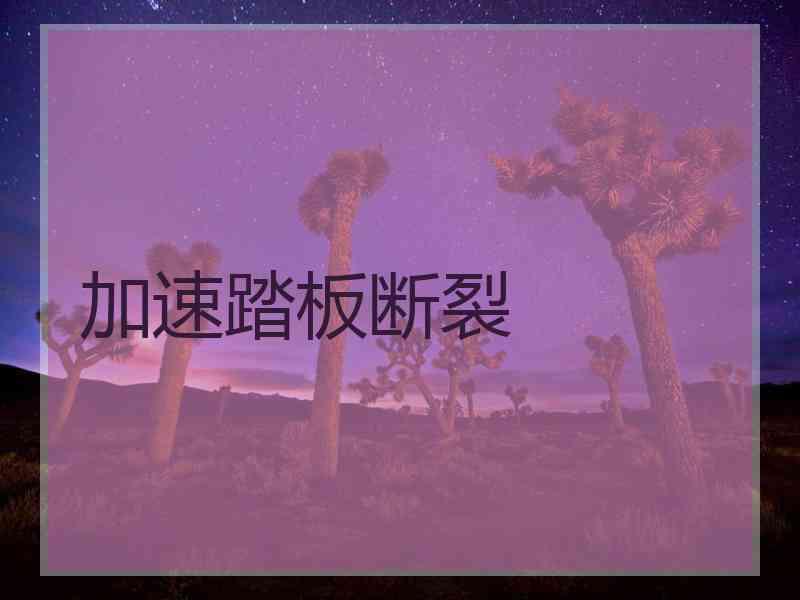 加速踏板断裂