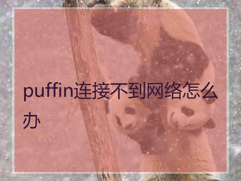 puffin连接不到网络怎么办