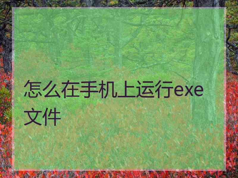 怎么在手机上运行exe文件