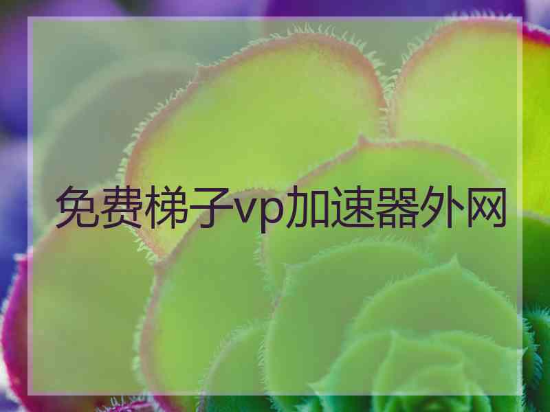 免费梯子vp加速器外网