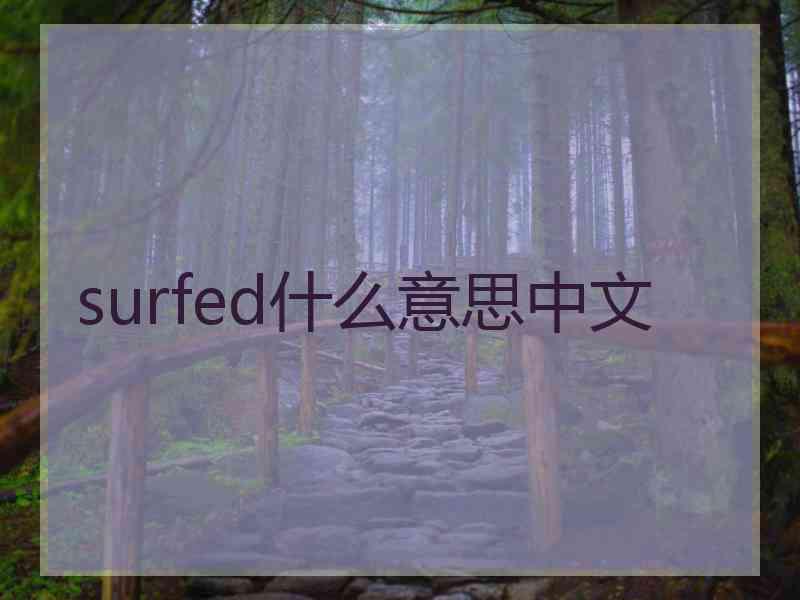 surfed什么意思中文