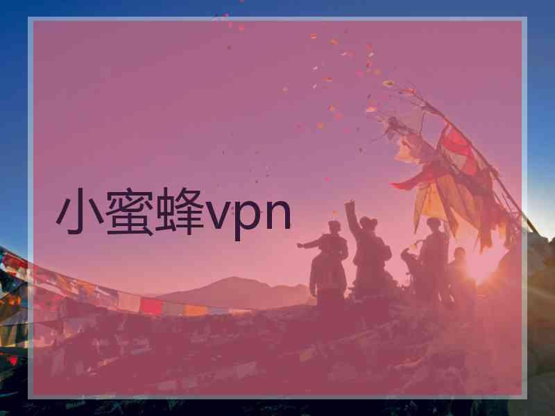 小蜜蜂vpn