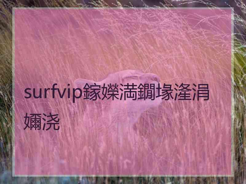 surfvip鎵嬫満鐗堟湰涓嬭浇