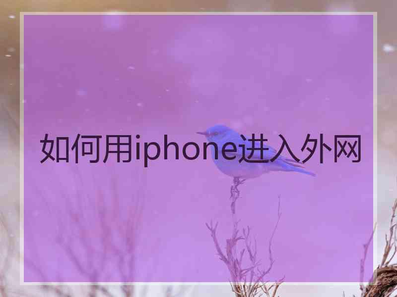 如何用iphone进入外网