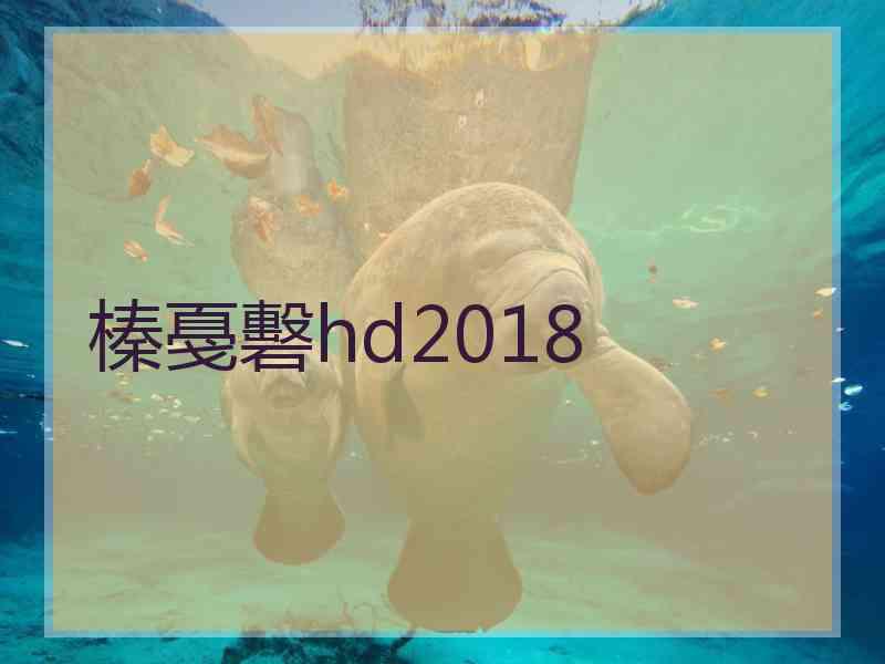 榛戞礊hd2018