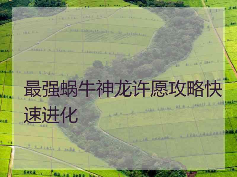 最强蜗牛神龙许愿攻略快速进化