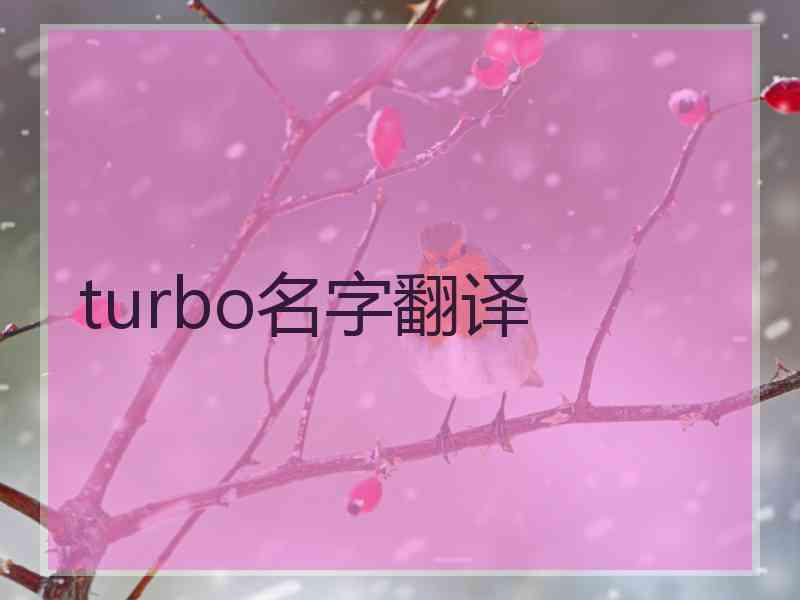 turbo名字翻译