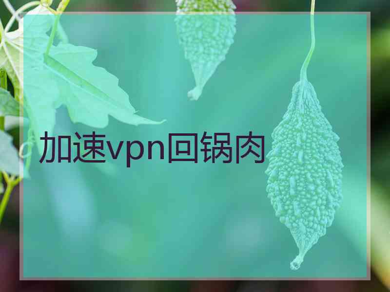 加速vpn回锅肉