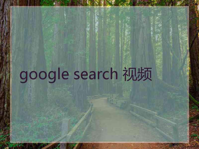 google search 视频