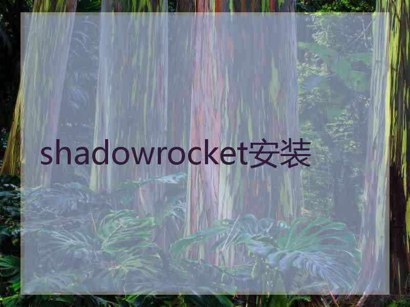 shadowrocket安装