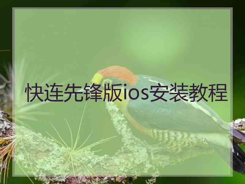 快连先锋版ios安装教程