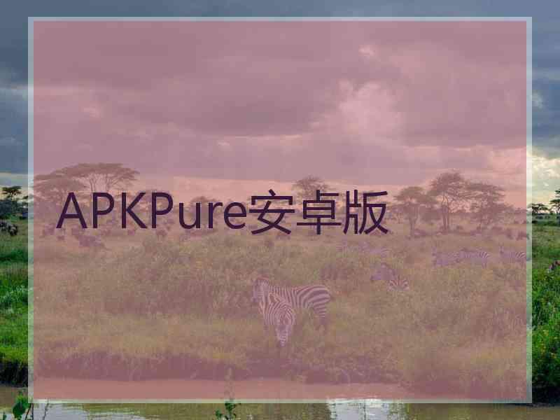 APKPure安卓版