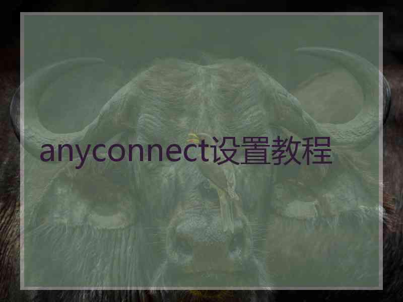 anyconnect设置教程