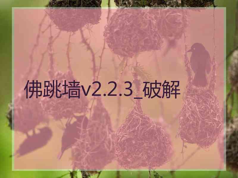 佛跳墙v2.2.3_破解