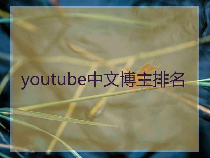 youtube中文博主排名