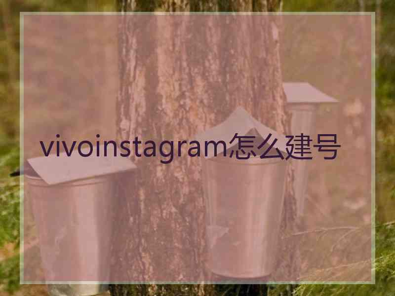vivoinstagram怎么建号