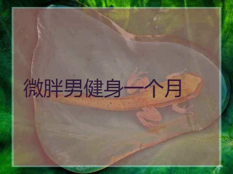 微胖男健身一个月