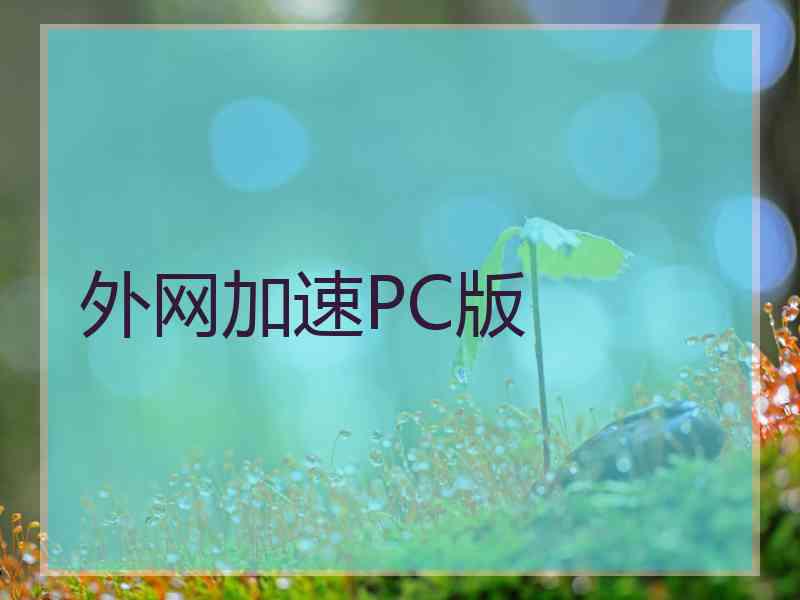 外网加速PC版