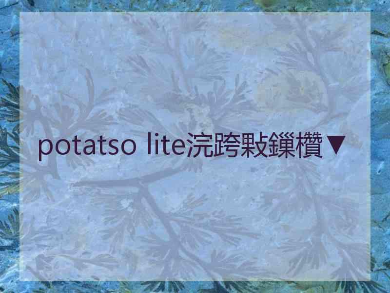 potatso lite浣跨敤鏁欑▼