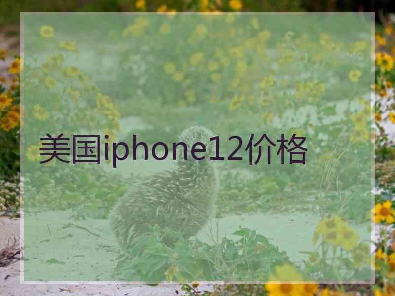 美国iphone12价格