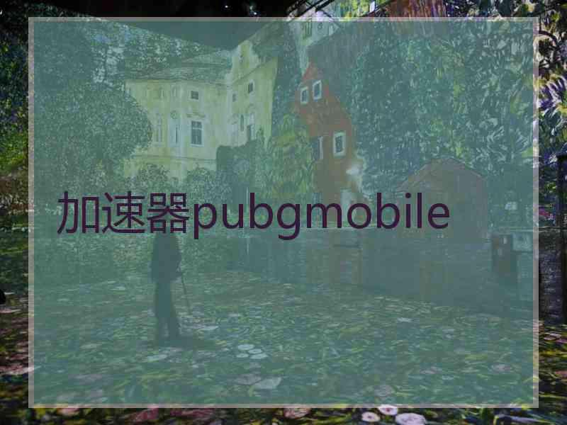 加速器pubgmobile