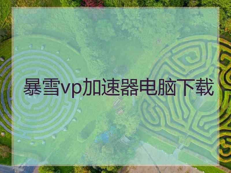 暴雪vp加速器电脑下载