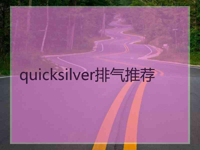 quicksilver排气推荐