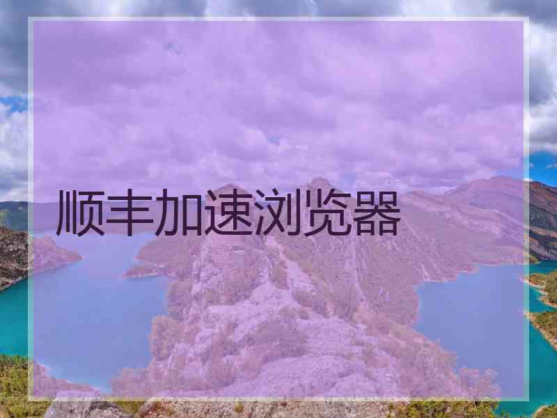 顺丰加速浏览器