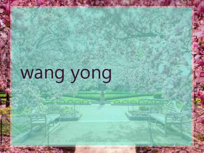 wang yong