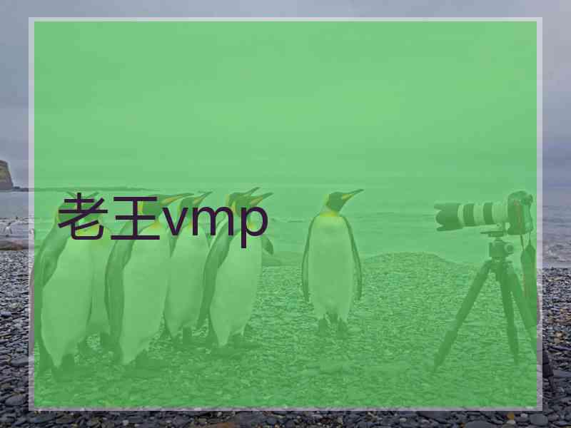 老王vmp