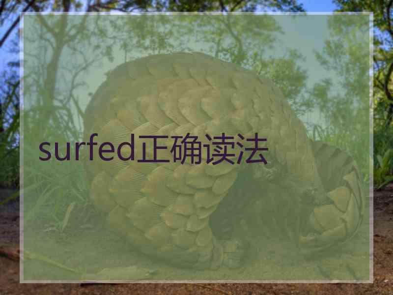 surfed正确读法