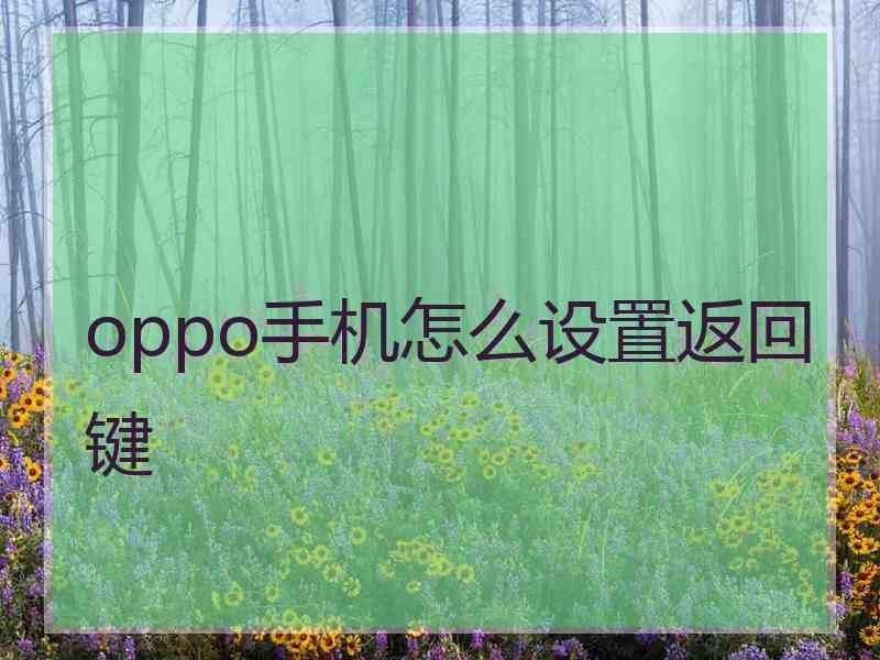 oppo手机怎么设置返回键